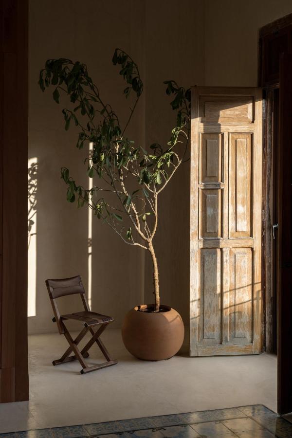 Narrativ Lofts - Numen - Stylish Hideaway Apartment Campeche Exterior foto